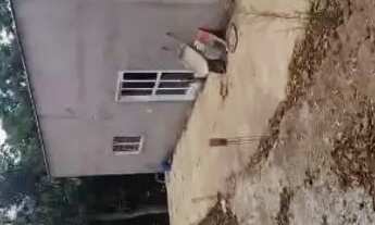 Imagem 4: Vendo Chácara no campo dourado