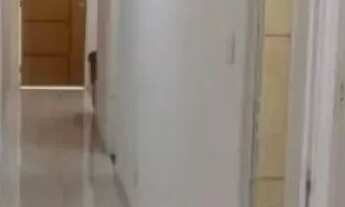 Imagem 5: Mobiliado, reformado, ótima localização