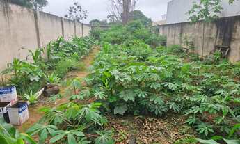 Imagem 3: TERRENO 300M² AVENIDA JD TROPICAL II