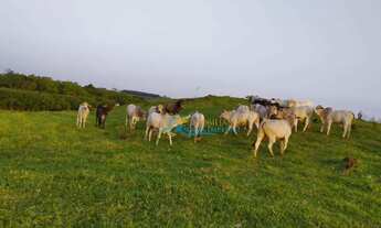 Imagem: Sítio à venda, 242000 m² por R$ 1.100.000,00