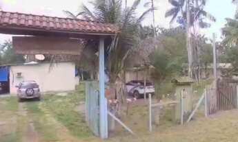 Imagem 4: Sítio beira rio uatumã , ramal da morena estrada de Balbina