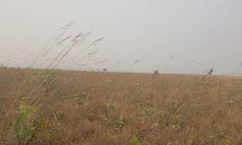 Imagem 4: Fazenda 13 mil hect em pontes de Lacerda MT. 3.050 abertos 80 milhões