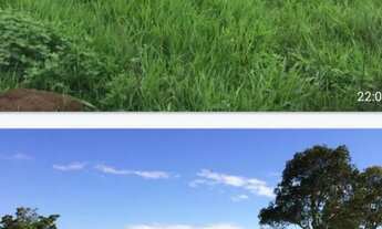 Imagem 4: Vende-se uma excelente fazenda de 1.402 hectares