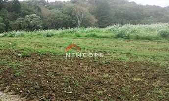 Imagem 2: Chácara em Rua Campestre - Colônia Murici - São José dos Pinhais/PR