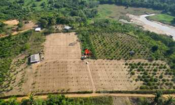 Imagem 7: Terreno com 75.000 m² em Iramdunda / Terreno com 75.000 m² há 3km da Cidade de Iranduba/AM
