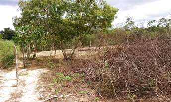 Imagem 2: Vendo ou troco terreno na Matinha