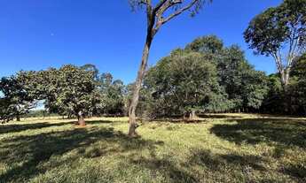 Imagem 2: Chácara Setor Maracanã ( Goianira