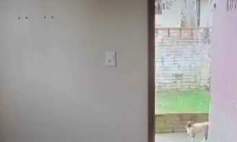 Imagem 2: Casa a venda na Cidade Ocidental (parcelado