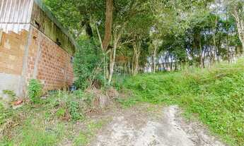 Imagem 4: TERRENO URBANO 2248M SÃO DIMAS - COLOMBO