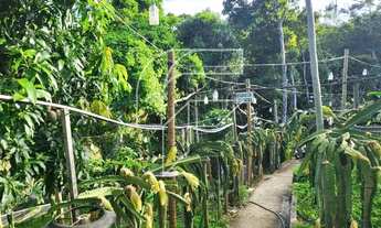 Imagem 5: Imóvel para venda tem 5000 metros quadrados com 3 quartos em Meaípe - Guarapari - ES