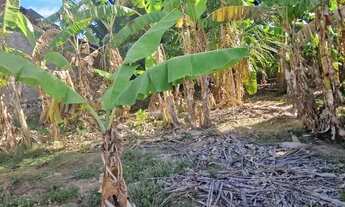Imagem 3: Terreno em aguilhadas Pirambu
