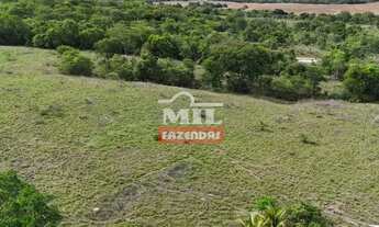 Imagem 5: Fazenda 22 alqueires (106,20 hectares) Aloândia - Go