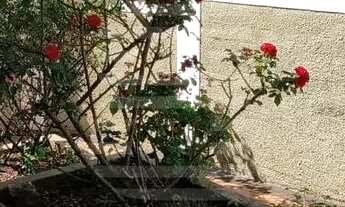 Imagem 4: Casa para Locação no Jardim Chapadão, com 3 quartos, sendo 1 suíte, 6 vagas