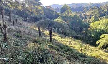 Imagem 2: Terreno / Venda Terreno / lote com venda por R$350.000