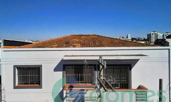 Imagem: Apartamento com 3 dormitórios para alugar