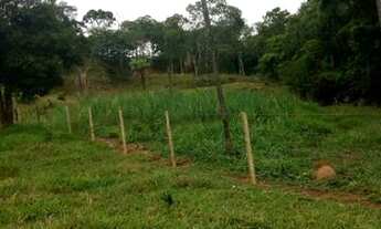 Imagem 2: Chácara 7 alq pego carro camionete