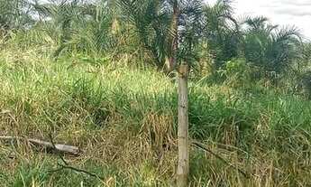 Imagem 3: Chácara 7 alq pego carro camionete