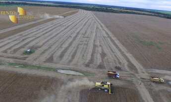 Imagem 5: Fazenda com dupla aptidão à venda por por R$ 172.000. a 70km da cidade de Cocalinho/MT