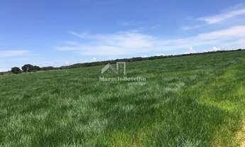 Imagem 6: Fazenda á venda município de Diamantino MT