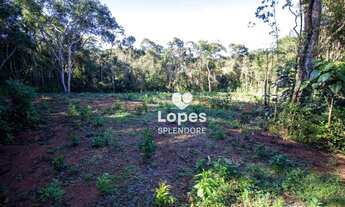 Imagem 4: Terreno à venda, 16850 m² por R$ 650.000,00 - Centro (Canguera) - São Roque/SP