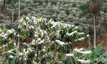 Imagem 2: Chácara Santa Teresa