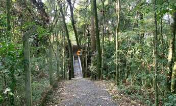 Imagem 6: CAMPO LARGO - Casa Padrão - SÃO MARCOS