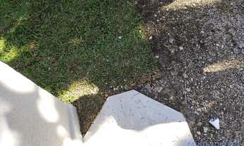 Imagem 7: COMERCIAL - JARDIM AMÉRICA - SP