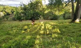 Imagem: Sítio para Venda em Pouso Alegre, Rural