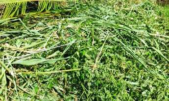 Imagem 4: Vendo ou troco terreno no Jardim Redentor