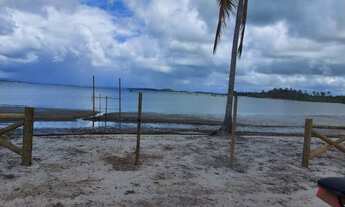 Imagem 7: Terrenos Exclusivos de 400 m¹ em média pertinho de Barra Grande, Bahia!