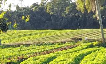 Imagem 6: B.M//Lotes de 500m em Ìbiuna