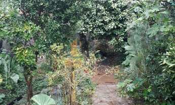 Imagem: CONSELHEIRO LAFAIETE - Terreno Padrão