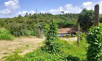 Imagem 2: Vendo terreno em paripueira 6 por 115 fone