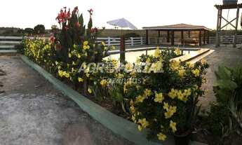 Imagem 2: Fazenda no Pará - Goianésia - 345 ha (71 alq