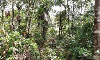 Imagem 3: Excelente Terreno Rural com Área de 10,31 Hectares localizado na região Cedro em Antonina