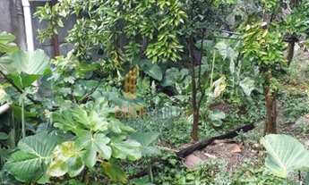 Imagem 2: CONSELHEIRO LAFAIETE - Terreno Padrão - Carijós