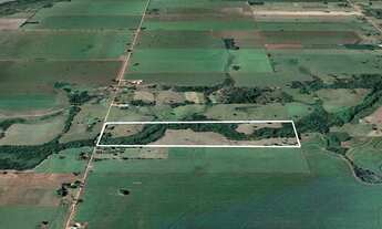 Imagem 2: Leilão/Alienação Judicial - Até 30% de desconto - Área rual com 30 ha em Dourados-MS