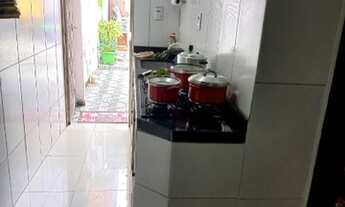 Imagem 2: Vendo casca na cremação