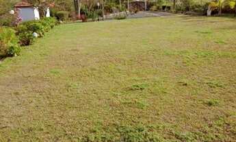 Imagem 5: CHÁCARA DAS PALMEIRAS