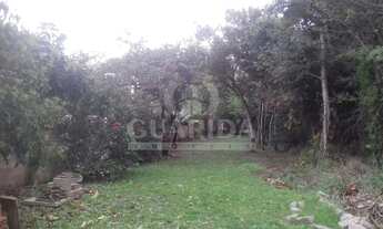 Imagem 4: Sítio para comprar no bairro Hípica - Porto Alegre com 3 quartos