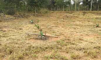 Imagem 4: 3000 metros com menor valor !!!