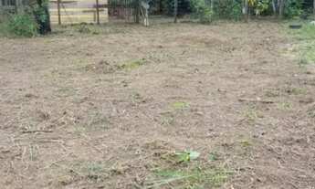 Imagem 2: Vendo ou troco , terreno no ramal do laguinho Iranduba Am