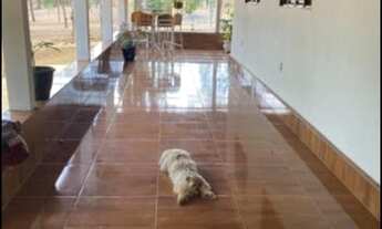 Imagem 5: Vendo belíssima fazenda povoado lagolandia em Pirenópolis