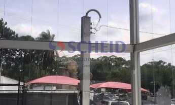 Imagem 3: EXCELENTE IMÓVEL ÓTIMA LOCALIZAÇÃO