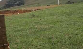 Imagem: Terreno Plano 977 m2 Local Incrível