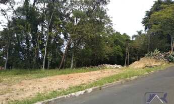 Imagem: Porto Alegre - Terreno Padrão - Belém