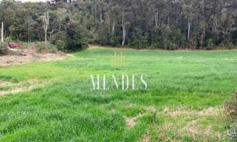 Imagem 7: CAXIAS DO SUL - Terreno Padrão - Monte Bérico