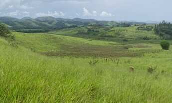 Imagem 3: Terrenos de 5.000m² disponíveis em Jacareí
