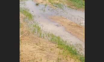 Imagem 4: 66 Alqs Soja Plana Ótima de Argila e Água Região Pedro Afonso TO