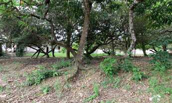 Imagem 7: Vende terreno no Aracagy